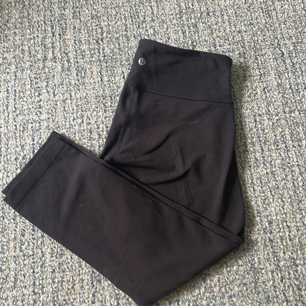 Black Wunder Under Crops